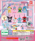 Sanrio Characters BEST! Mejirushi Accessories