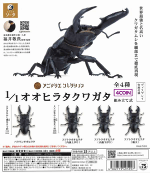 1:1 Giant Flat Stag Beetle