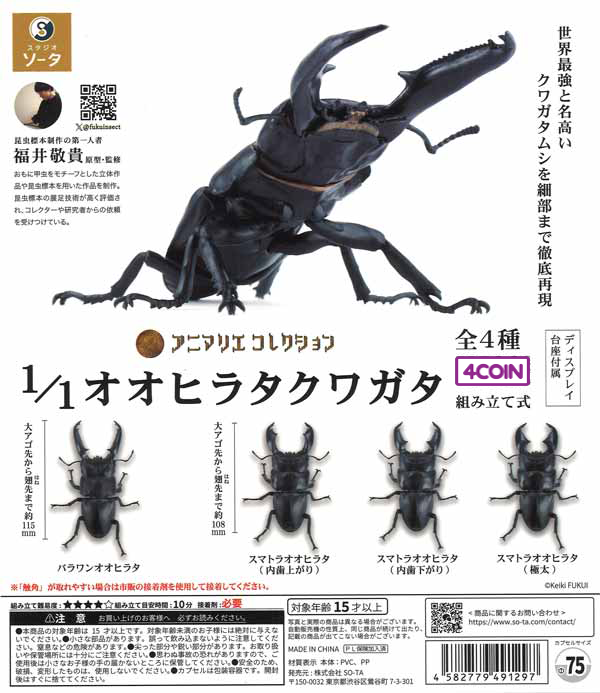 1:1 Giant Flat Stag Beetle