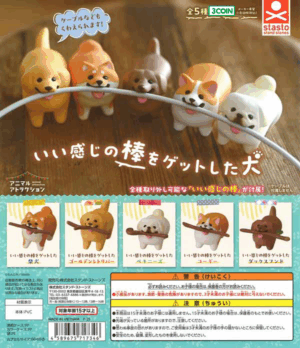 Dog Gets a Nice Stick!