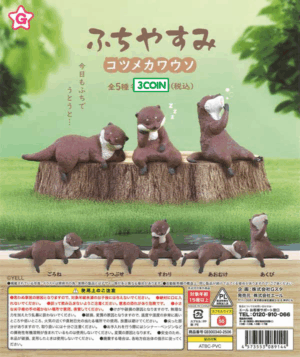 Edge Resting Asian Small-clawed Otter