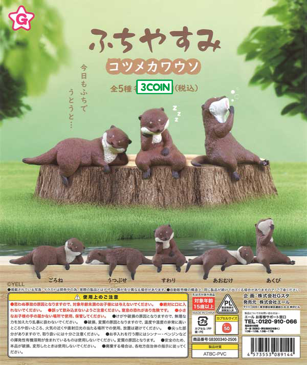 Edge Resting Asian Small-clawed Otter