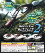 Modeling Beetles 2