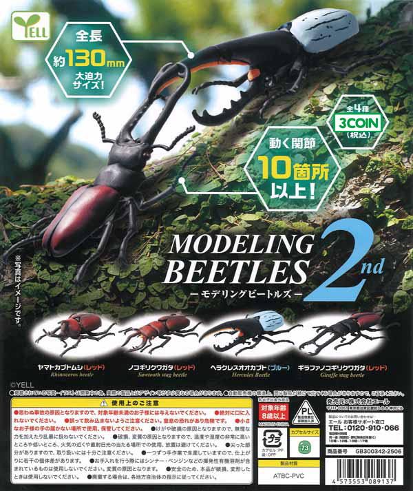 Modeling Beetles 2