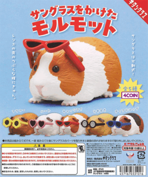 Guinea Pig Sunglass Shades