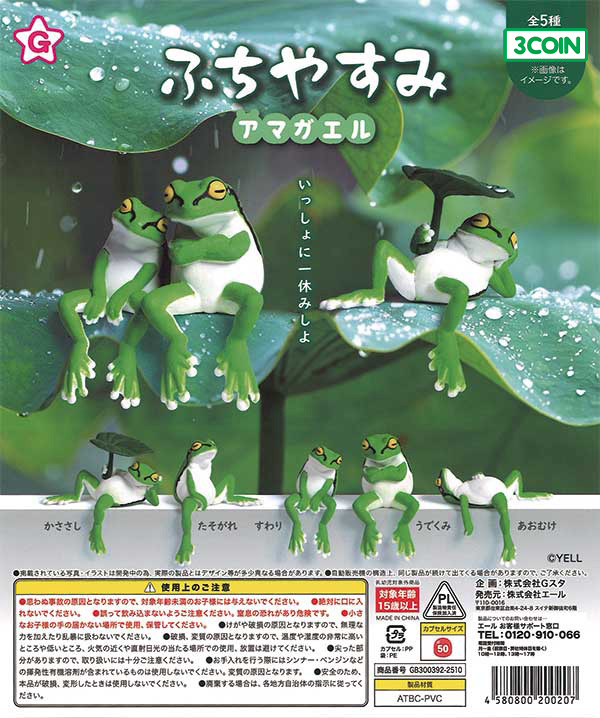 Edge Resting Tree Frog