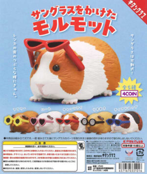 Guinea Pig Wearing Sunglasses