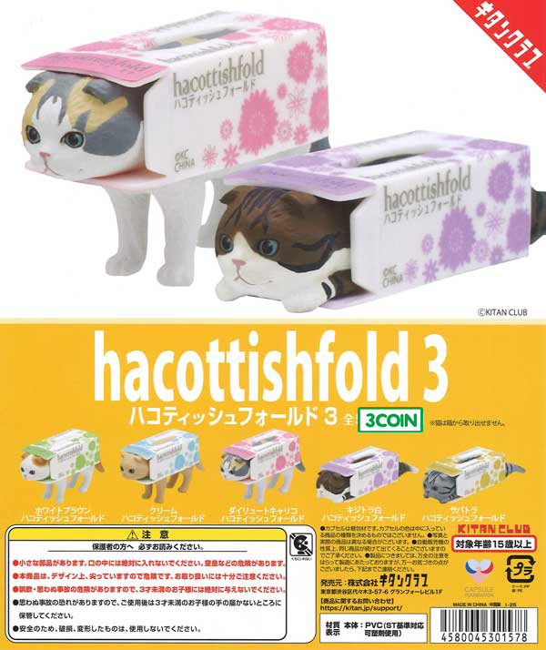 Hacottishfold 3