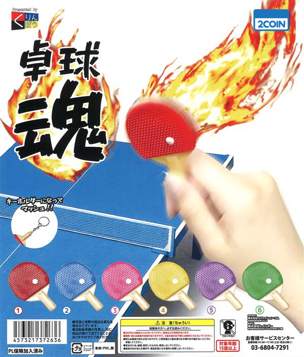 Table Tennis Soul
