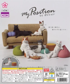 My Position